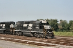 NS 5293